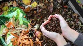 compost smell
